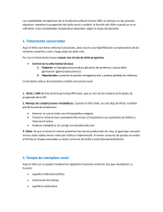 Tratamientos de la Insuficiencia Renal Cr&oacute;nica: Conservador, Di&aacute;lisis, Trasplante