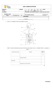 Human Nutrition Quiz: Digestive System & Minerals