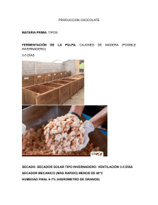 Producci&oacute;n de Chocolate: Materias Primas y Procesos