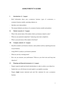 E-commerce Business Plan Assignment Guide