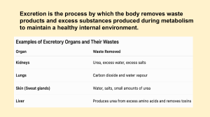 Excretion and the Excretory System: Kidney Function