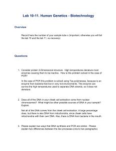 Lab 10-11 Human Genetics Biotechnology PCR Lab Manual