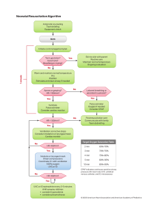 Neonatal Resuscitation Algorithm 2025