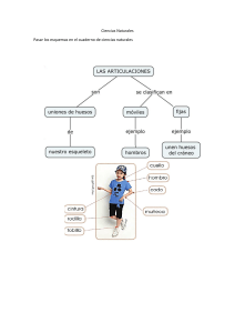 Ciencias Naturales: El Sistema Muscular y Articulaciones