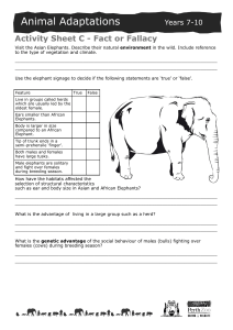 Animal Adaptations Activity Sheet: Asian Elephants (Years 7-10)