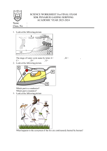 Science Worksheet for Final Exam - Middle School