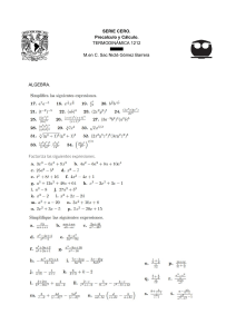 Problemas de &Aacute;lgebra: Cuaderno de Trabajo SERIE CERO