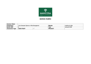 Auditing for Risk Marking Rubric