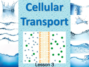 Cellular Transport Lesson 3: Diffusion, Osmosis, Active Transport