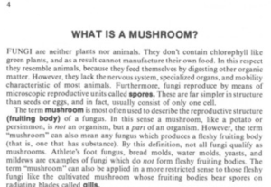 What is a Mushroom? - Fungi Definition