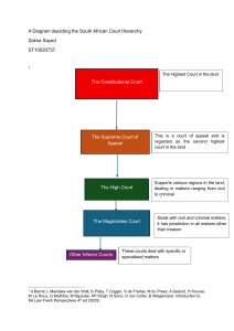 South African Court Hierarchy Diagram