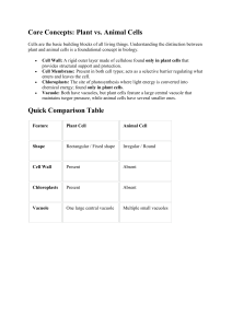 Plant vs. Animal Cells: Core Concepts