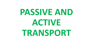 Passive and Active Transport in Cells
