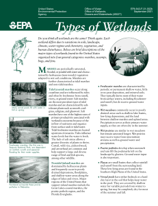 Types of Wetlands - EPA Fact Sheet