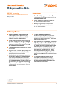 Equine Bot Fly Welfare Assessment Guide