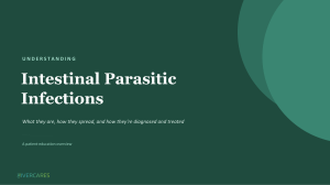 Understanding Intestinal Parasitic Infections: A Patient Guide