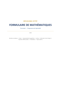 R&eacute;visions d'&eacute;t&eacute; - Formulaire de Math&eacute;matiques Terminale Sp&eacute;cialit&eacute;