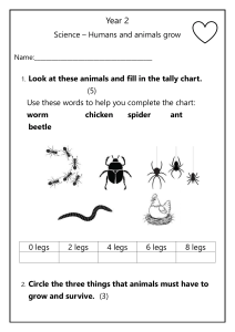 Year 2 Science Worksheet: Humans and Animals Grow