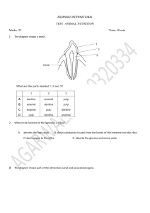 Animal Nutrition Test: Digestive System & Teeth