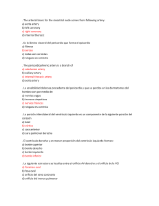 Preguntas de examen de anatom&iacute;a