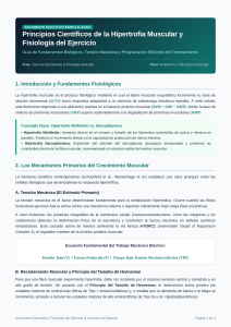 Gu&iacute;a de Hipertrofia Muscular y Fisiolog&iacute;a del Ejercicio