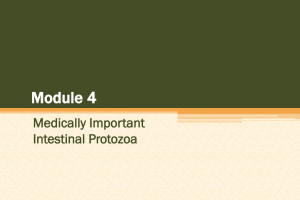 Module 4: Medically Important Intestinal Protozoa