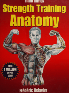 Strength Training Anatomy 3rd Ed: Muscle Exercises & Anatomy Guide