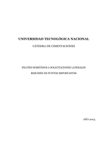 Resumen de Pilotes Sometidos a Cargas Laterales