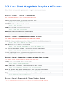 Guia R&aacute;pido SQL: An&aacute;lise de Dados Google + W3Schools