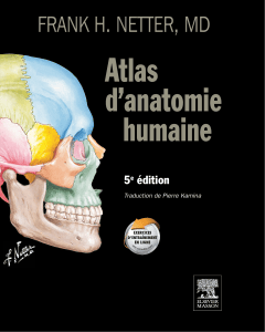 Atlas d'anatomie humaine Netter 5e &eacute;dition