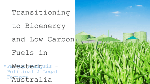 Bioenergy & Low Carbon Fuels in Western Australia: PESTLE Analysis