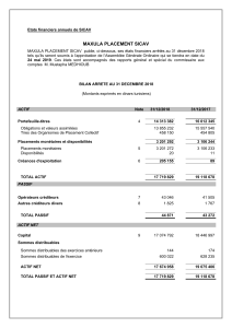Rapport financier annuel de MAXULA PLACEMENT SICAV (2018)
