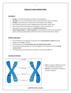 Genetics and Inheritance Study Guide