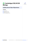 IGCSE Biology Cell Structure & Specimen Size Notes