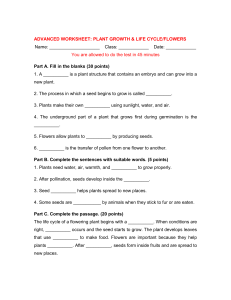 Advanced Plant Growth & Life Cycle Worksheet