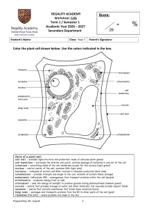 Plant Cell Worksheet: Color & Label Diagram