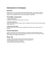 Introduction to Urinalysis: Overview & Components