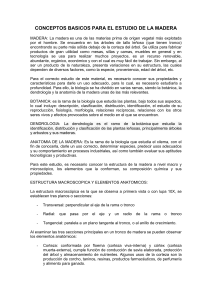 Conceptos B&aacute;sicos para el Estudio de la Madera