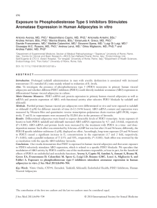 PDE5 Inhibitors Stimulate Aromatase in Human Adipocytes: In Vitro Study