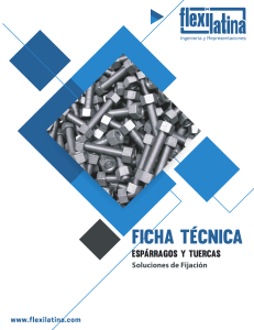 Ficha T&eacute;cnica: Esp&aacute;rragos y Tuercas - Soluciones de Fijaci&oacute;n