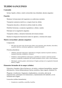 Tejido Sangu&iacute;neo: Funci&oacute;n y Composici&oacute;n de la Sangre