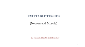 Excitable Tissues: Neuron and Muscle Physiology