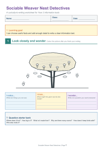 Sociable Weaver Nest Detectives Worksheet