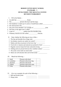 Bishop Cotton School Skeletal System Worksheet