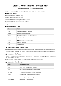 Grade 3 Science Lesson Plan: Bones and Skeletons