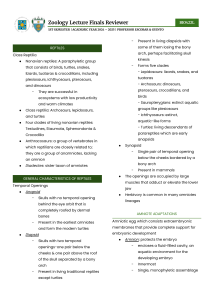 Zoology Lecture Finals Reviewer - Reptiles & Birds