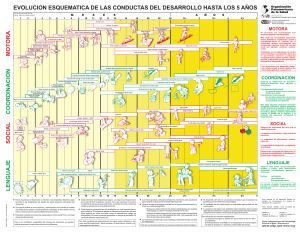 Hitos del desarrollo infantil 0-5 a&ntilde;os