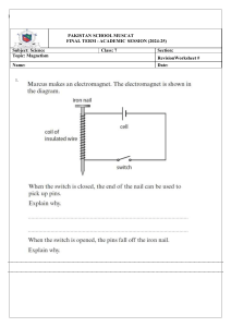 Pakistan School Muscat Science Revision Worksheet - Magnetism
