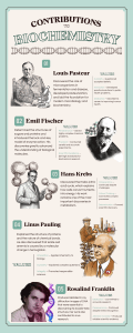 Contributions to Biochemistry: Key Scientists & Their Work