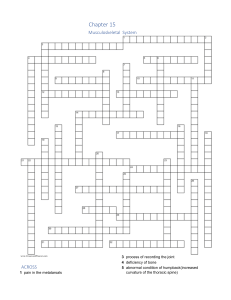 Musculoskeletal System Crossword Puzzle Chapter 15